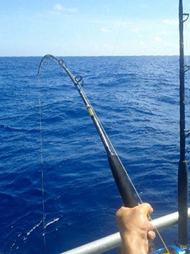 tsunami acid wrap rod